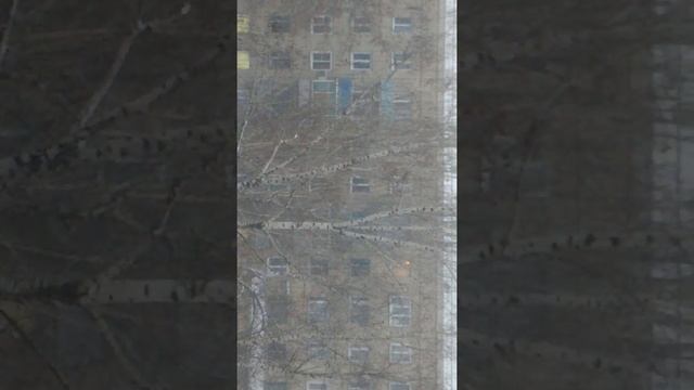 Погода в Балашове