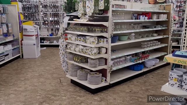 DOLLAR TREE BROWSE WITH ME| NEW FINDS!