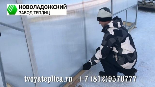 Теплица из поликарбоната Орешек