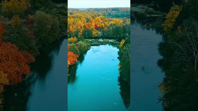 Красивая река