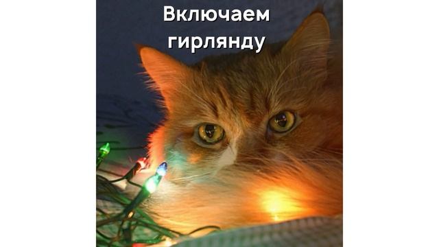 Произошли Технические Шоколадки))) Приколы с котами | Мемозг #513