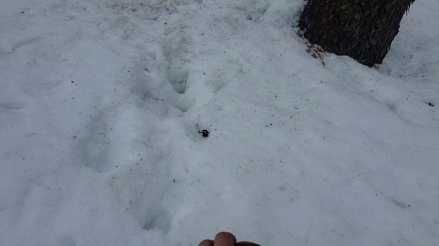 Деревня