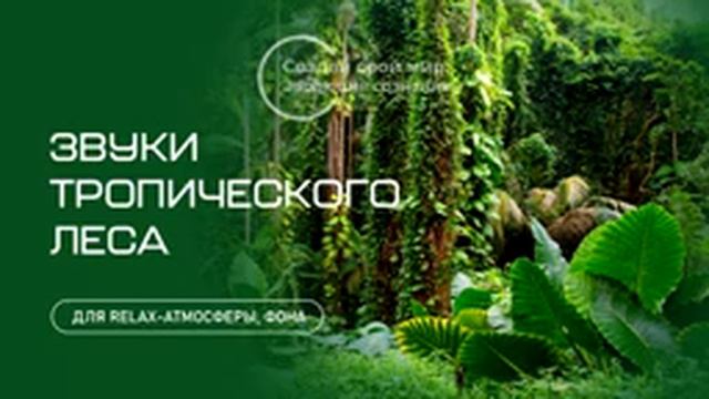 Звуки тропического леса/Rainforest Sounds