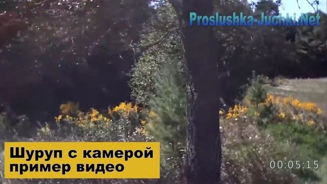 Пример видео с камеры шурупа