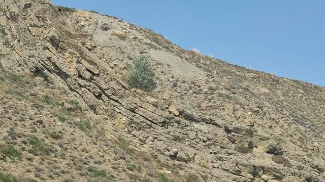 VID_20230727_152949.mp4