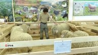 В Махачкале обсудили подготовку к проведению Российской выставки племенных овец и коз