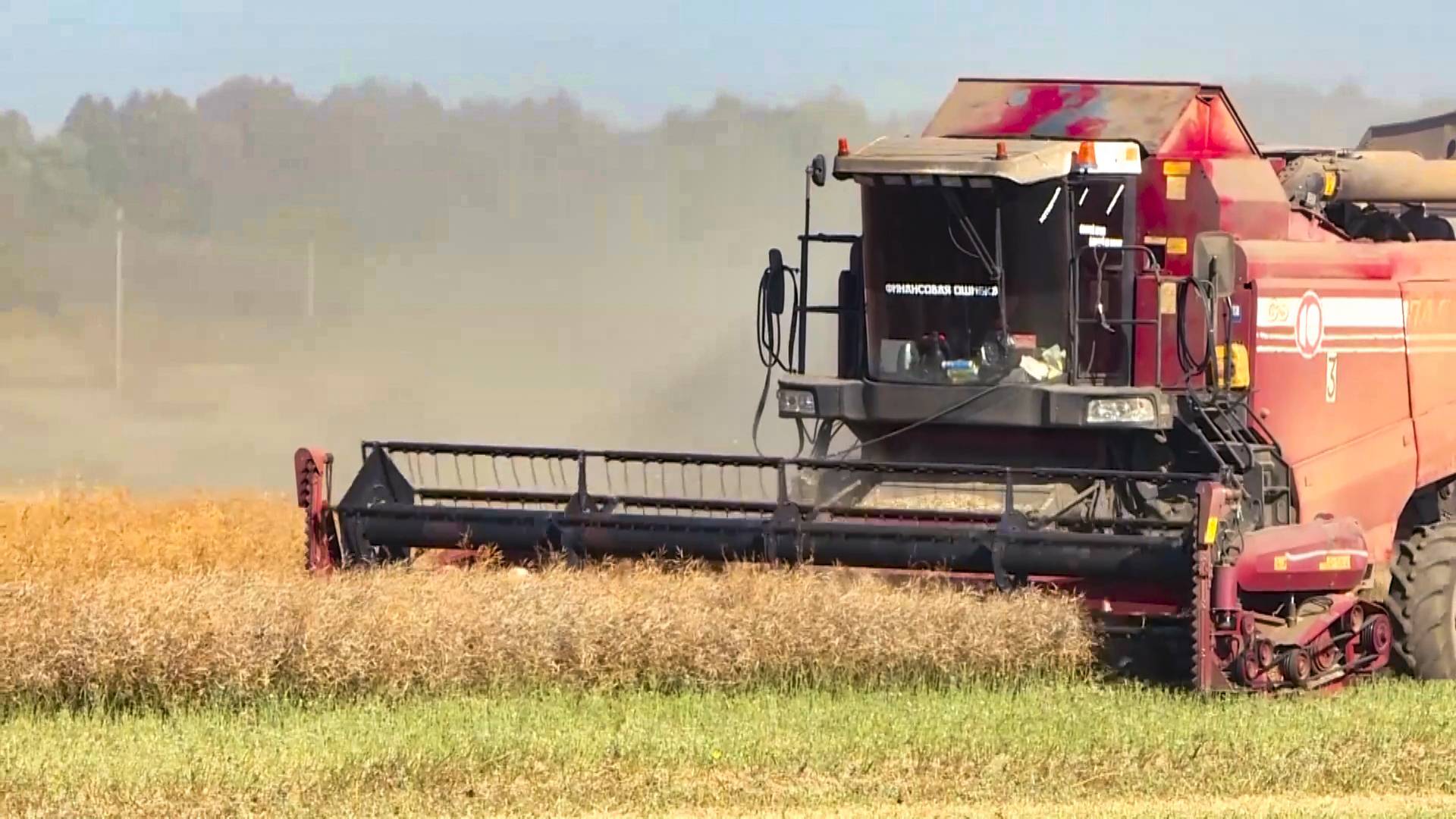 В Рязанской области значительно выросло производство в сельском хозяйстве