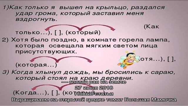Кокосовое мороженое  возможность прислушаться к своим ощущениям