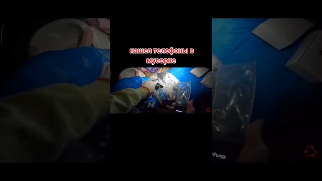 помойка кормит