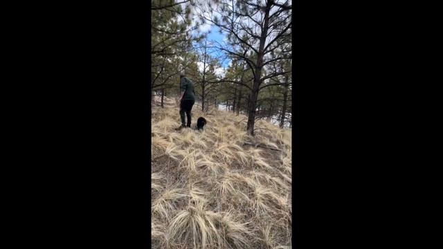 Exploring a Bigfoot Corridor: Uncovering Possible Footprints & Wildlife Signs in the Wilderness