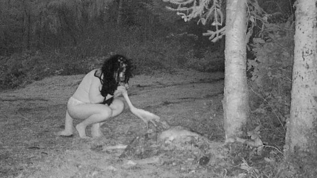 Iva Sativa - Pan