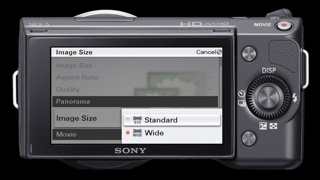 0 NEX 5 Features Master 1