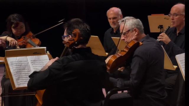 Richard Wagner - Idílio De Siegfried | 13º FEMUSC - 2018