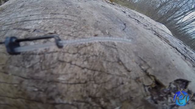 Обзор зимнего удилища Salmo Perch Soft Graphite.