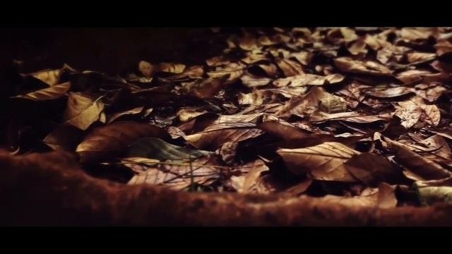 RELAX-VIDEO. Музыка природы .Водопад