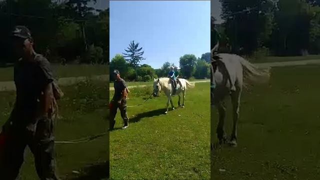 в гостях у бабушки