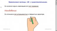 Русский язык. Правописание частицы -НЕ- с существительными.