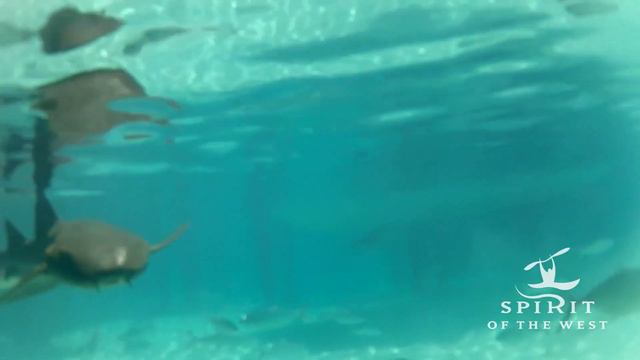 Seakayaking in The Bahamas with Spirit of the West