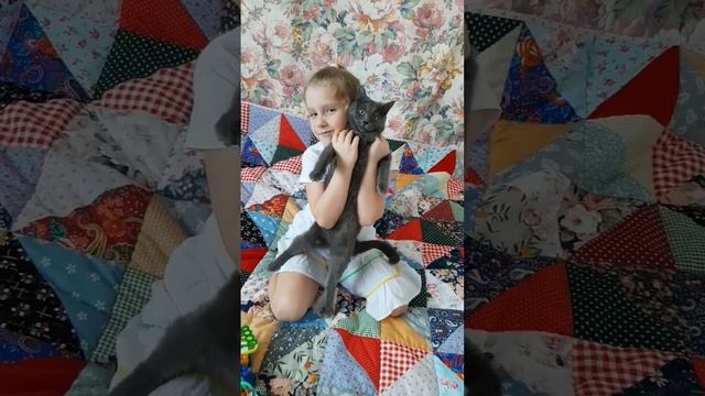 Лоскутное одеяло и мои помощники. #shortsvideo #одеяло #квилт #лоскутноеодеяло #