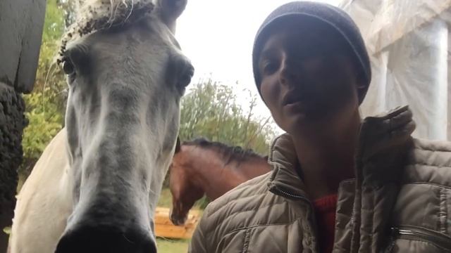 ЧТО СТАЛО ЗА 10 ДНЕЙ С ХОЗЯЙСТВОМ ПОКА НАС НЕ БЫЛО