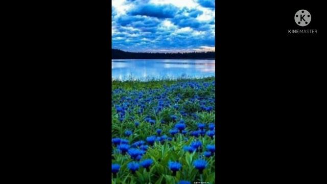 музыка про лето природа нетронута человеком