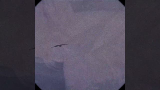perpetual (a film by Julia Stepanova)