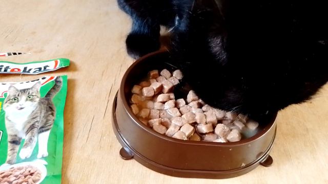kitekat корм для кошек "аппетитная курочка" в соусе