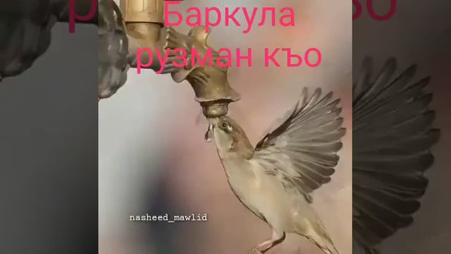 С пятницей вас