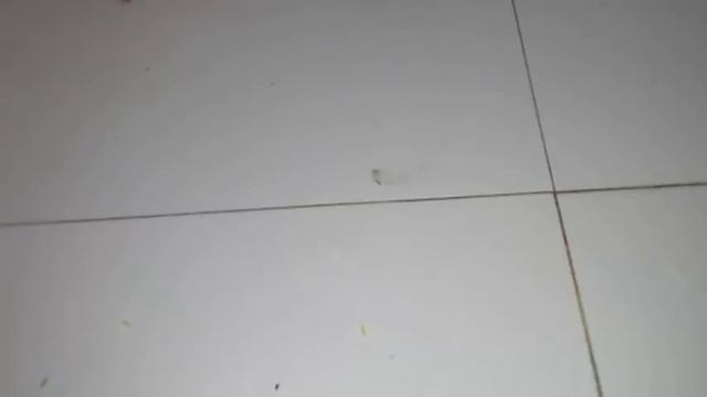 DIY Woolen Birds Wall Hanging for Home Decoration|Woollen Bird making|Jute Craft Idea