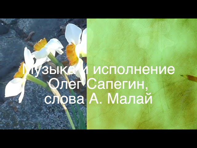 принцесса муз.и исполнение Олег Сапегин,слова А. Малай