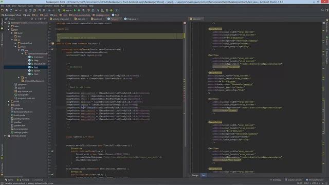 Coding the Bee Keeping Android app