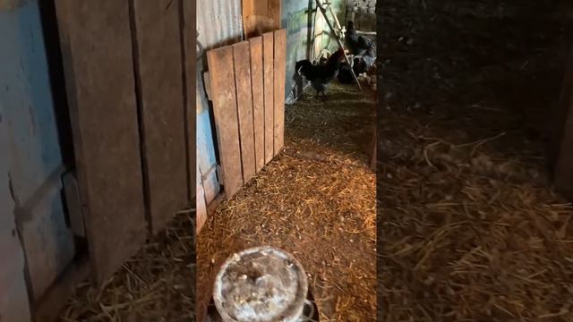 Морозы не спадают
