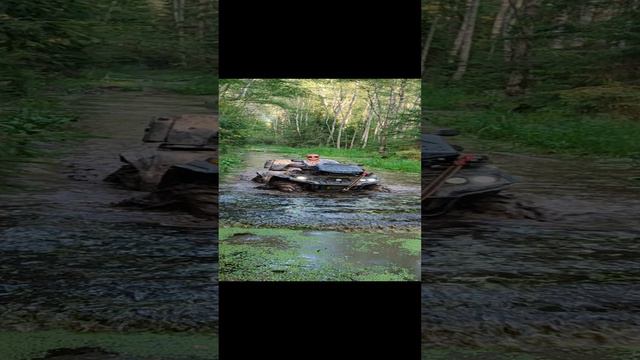 Покатухи на квадре по болотам на лайте)