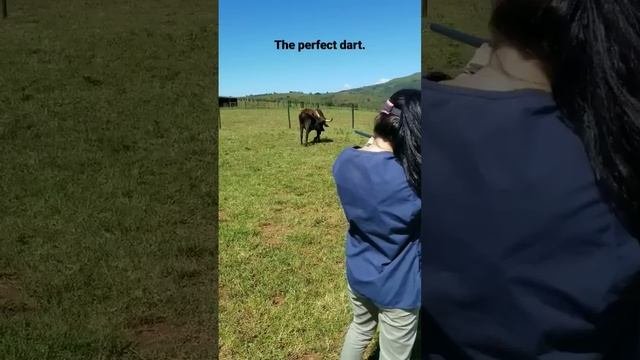 охотники девушка