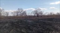 Последствия пожара на острове Дачный возле Хабаровска.