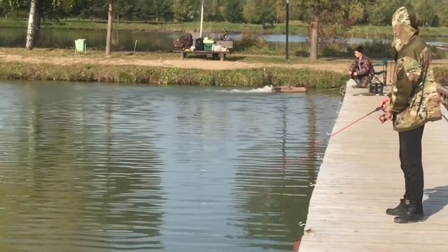 Сегодняшний клев