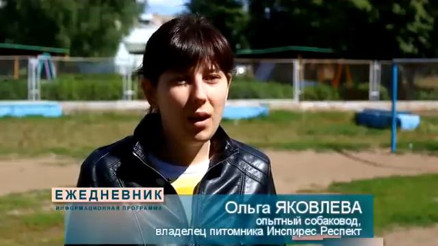 Домашние питомцы пополняют ряды бездомных животных
