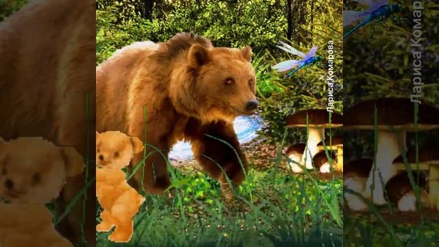 ДИКИЕ ЖИВОТНЫЕ И ИХ ДЕТЁНЫШИ. Занятия с детьми.
