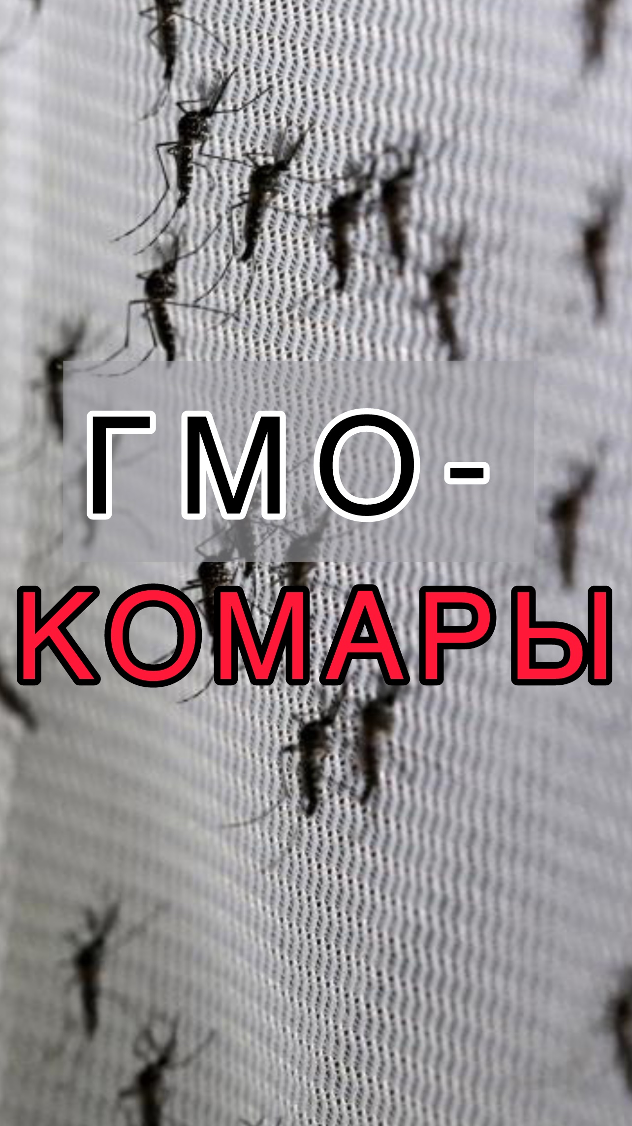 ГМО комары