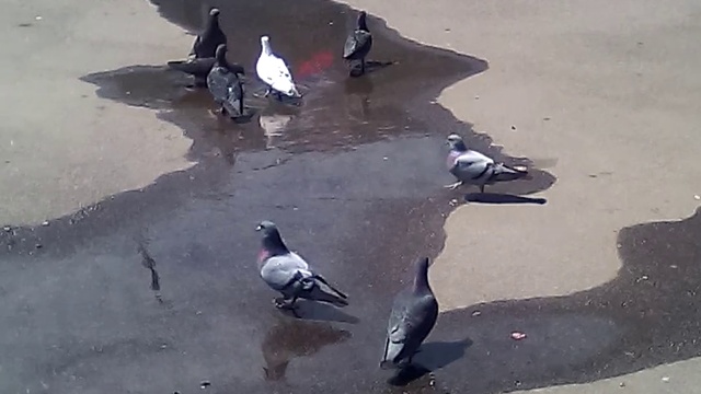 VID_20170608_124612