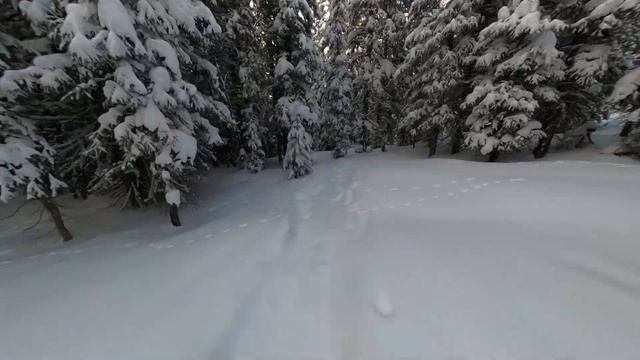 Vail - sloppy seconds - stabilized with ReelSteady