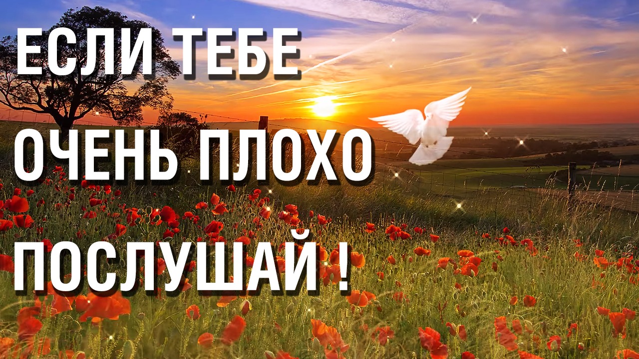 Если Вашим детям сейчас очень плохо, их обидели, осудили, предали, то послушайте эту сильную молитву