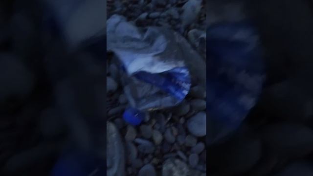 Пляжи Новороссийска загажены турецким мусором