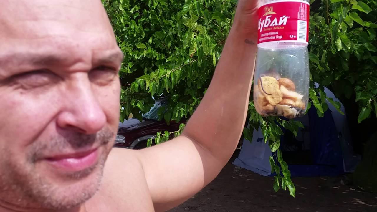 Как поймать мышь.