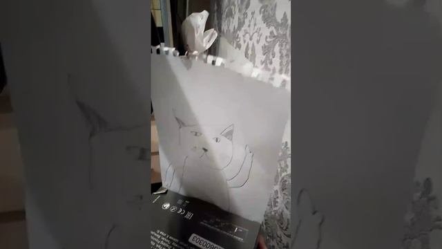 картина кота