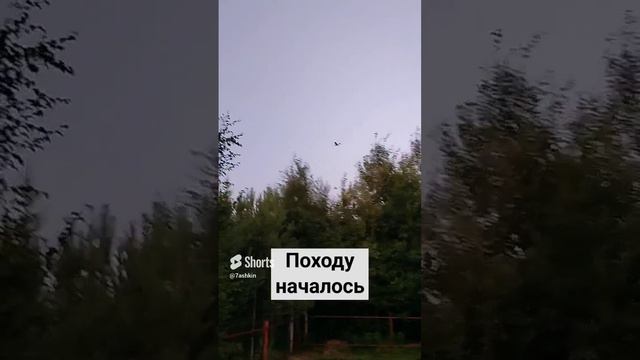 Началось походу...