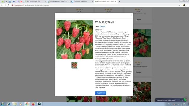 НЕ ЗЕВАЙ! Сей 25 культур уже сегодня в теплице и на грядки! Холодостойкие овощи и цветы