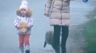 Тактический кувырок от кота