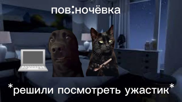 ночевка с подругой💜 / мемные коты /