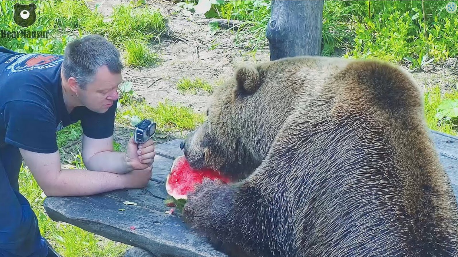 Ура! Началось арбузное лето??